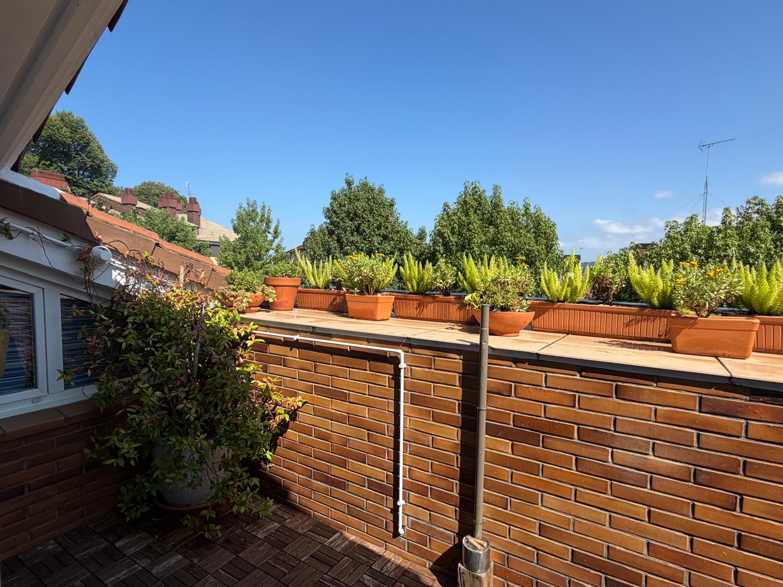 Terraza con plantas en Hondarribia