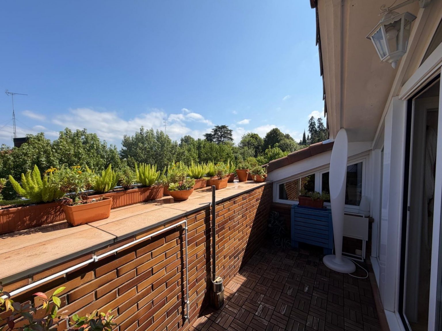 Terraza con plantas y vistas al jardín