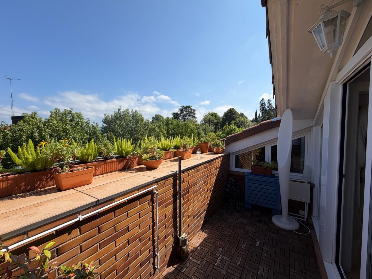 Terraza con plantas y vistas al jardín