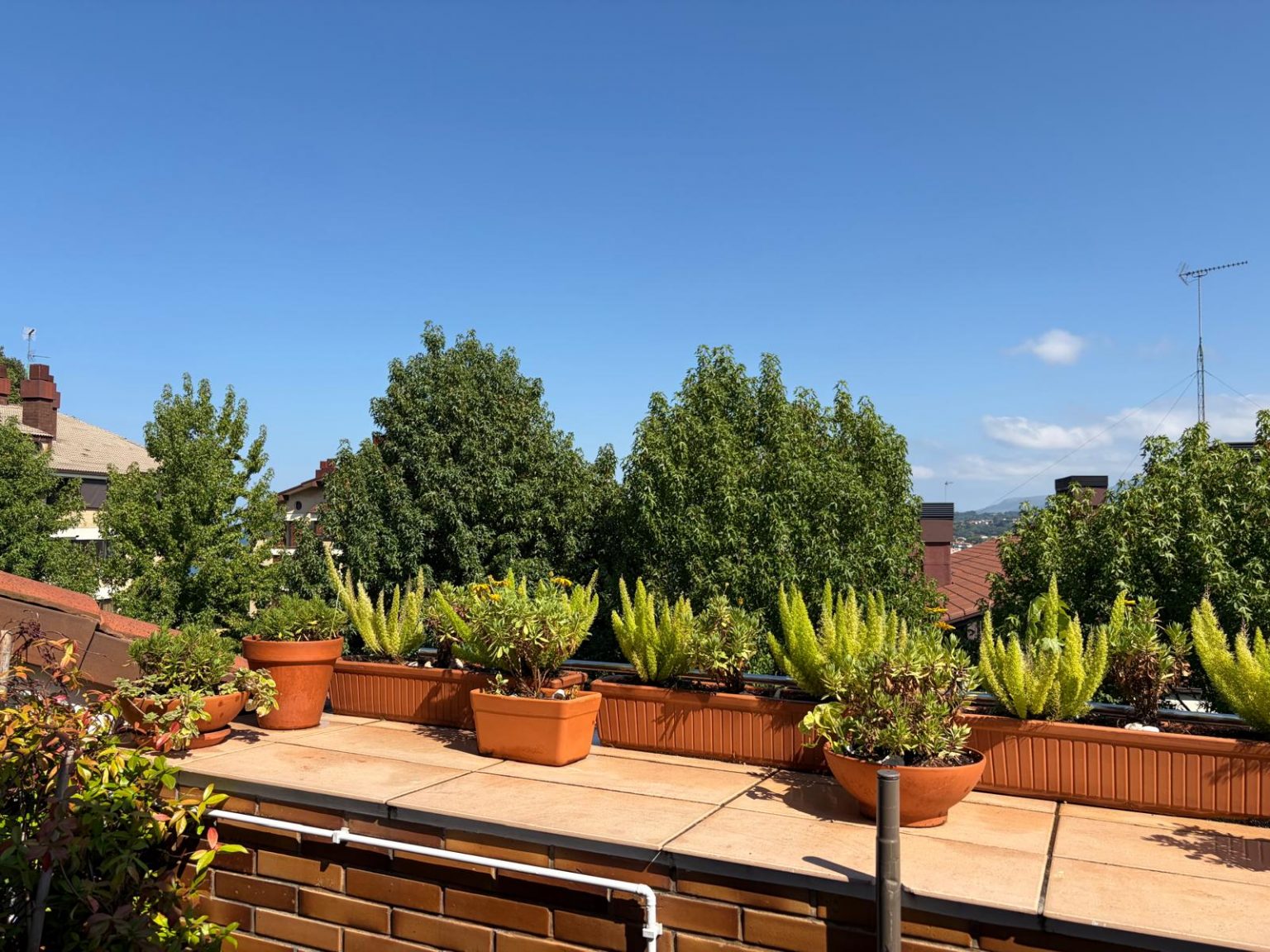 Terraza con macetas y vistas al paisaje
