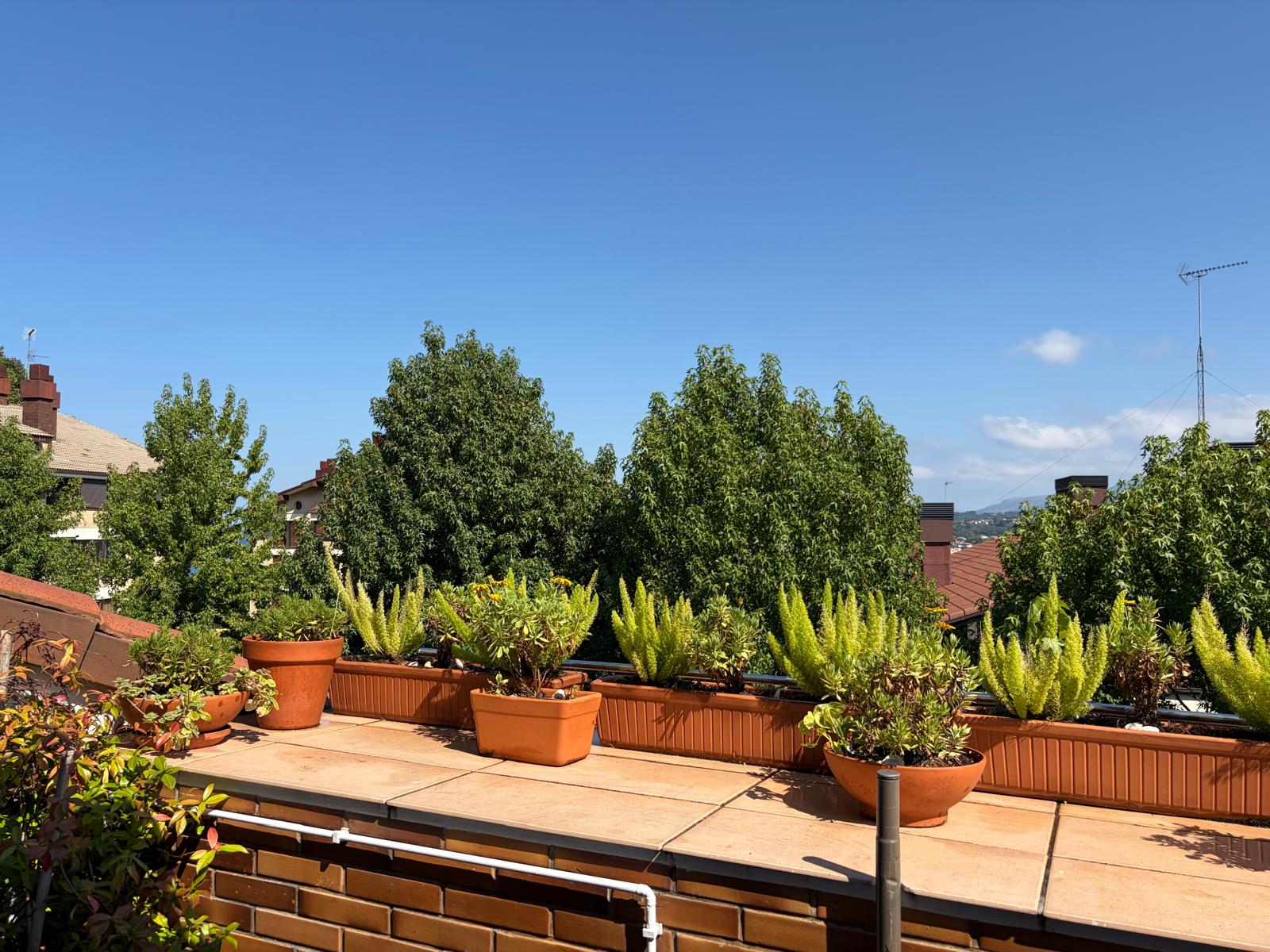 Terraza con macetas y vistas al paisaje