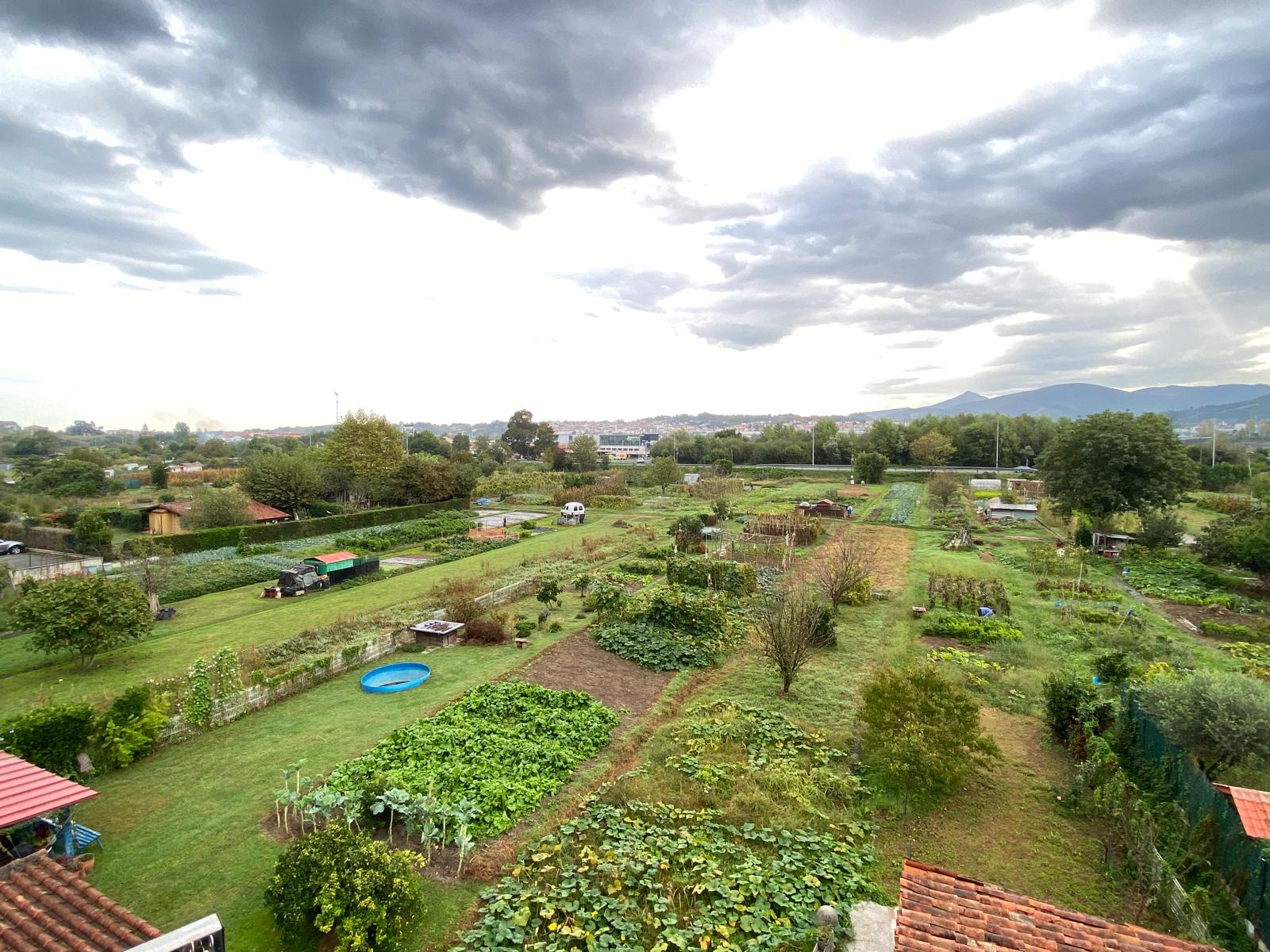 Huerto con parcelas y cielo nublado
